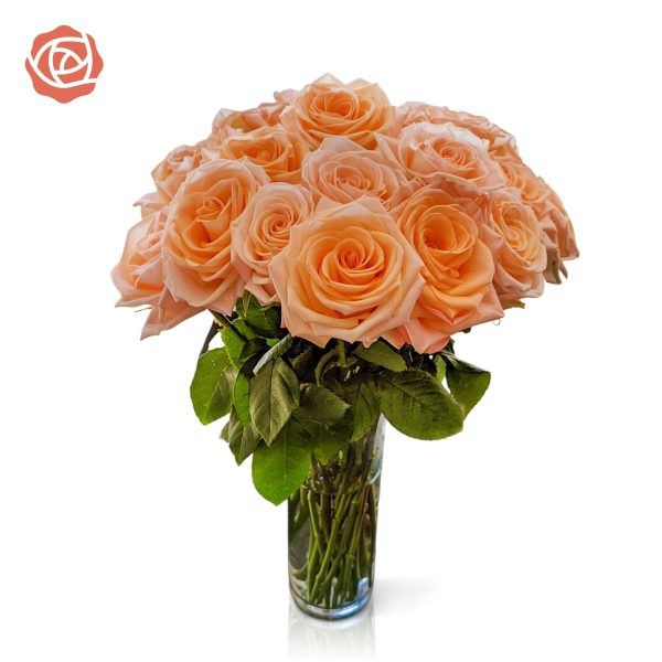 Brad s Deals Exclusive Roses with Free Shipping For Sale