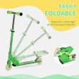 2 in 1 Design Snow Scooter and Wheeled Scooter- Green on Sale