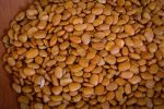 Tepary Bean (Brown Tepary) Online