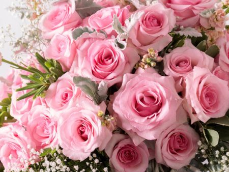 24 Roses to Benefit Susan G. Komen Foundation Supply