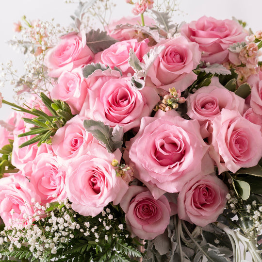 24 Roses to Benefit Susan G. Komen Foundation Supply