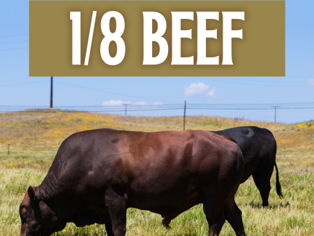 1 8 Beef Online now