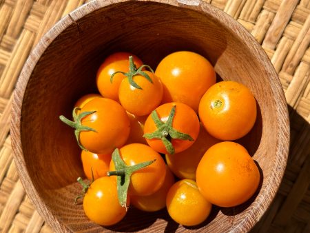 California Sungold Tomato on Sale