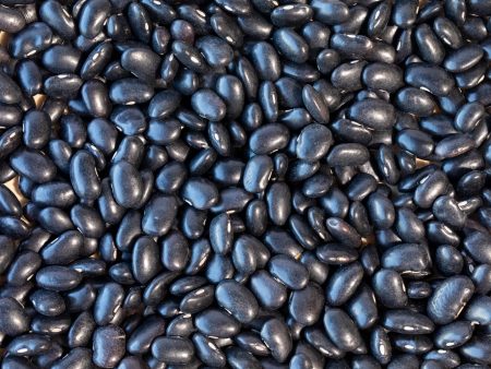 Ayocote Negro Bean For Discount