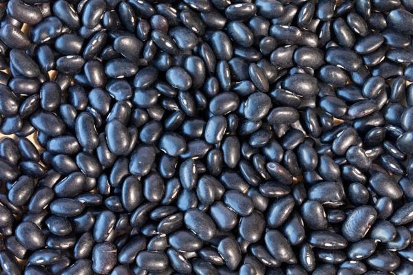 Ayocote Negro Bean For Discount