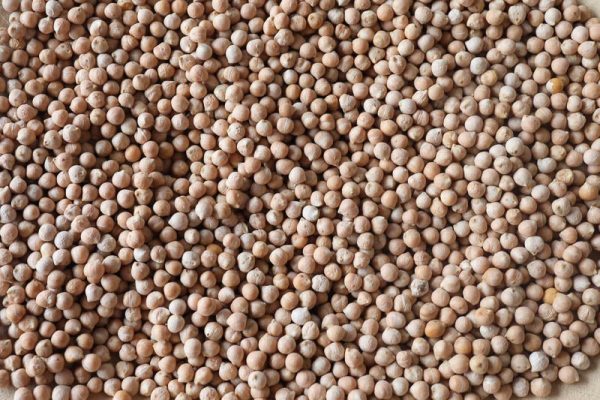 Ceci Piccoli (Small Chickpea) For Sale