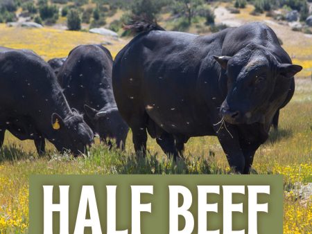 Half Beef Deposit + FREE Freezer ($300 Value) Supply