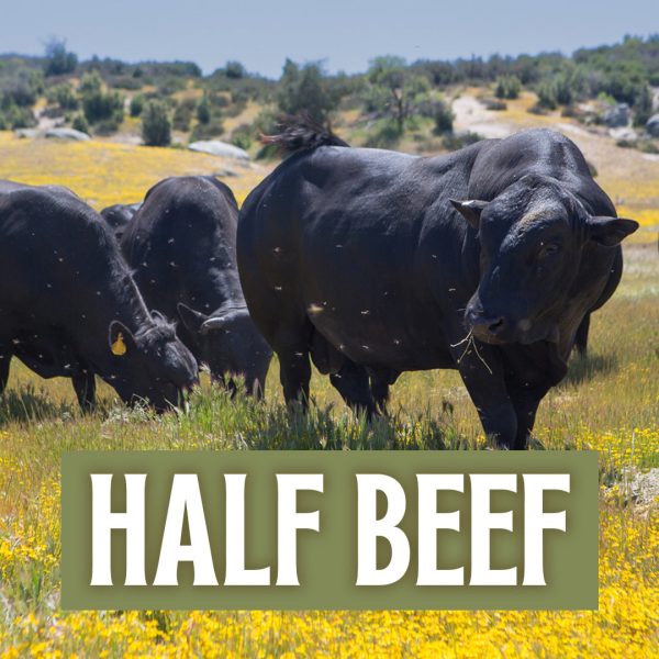 Half Beef Deposit + FREE Freezer ($300 Value) Supply