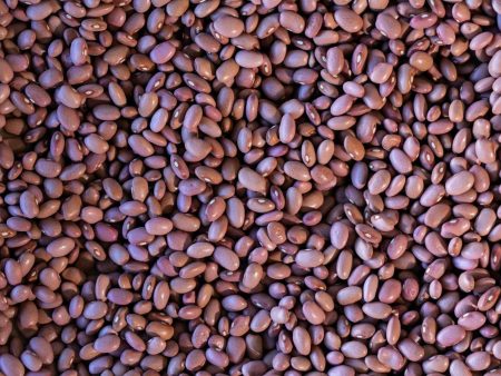 King City Pink Bean Supply