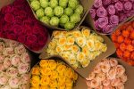 24 Farmers Choice Luxury Roses + Shipping Online now