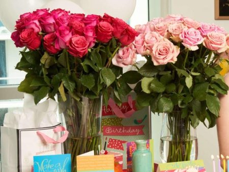 24 Magenta Roses Sweepstakes Prize! Online Sale