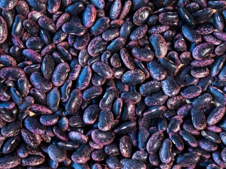 Scarlet Runner Bean Online Hot Sale