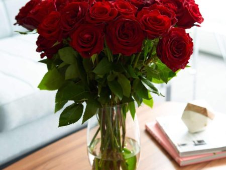 Brad s Deals Red Roses Discount