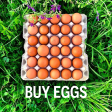 Assorted FLAT of Eggs (2.5 doz.) - Regenerative Sale