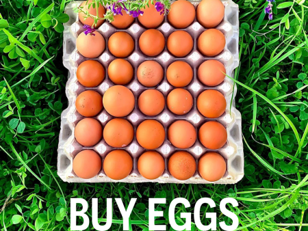 Assorted FLAT of Eggs (2.5 doz.) - Regenerative Sale