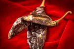 Dried Chile: Guajillo Fashion