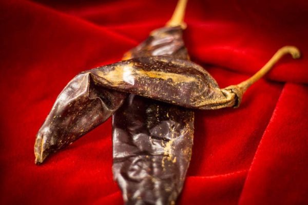 Dried Chile: Guajillo Fashion