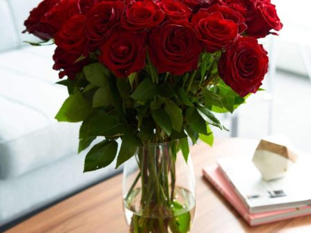 Brad s Deals Exclusive Red Long Stem Roses For Sale