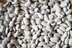 California Corona Bean on Sale