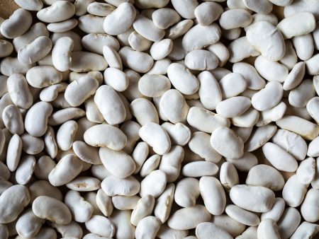 California Corona Bean on Sale