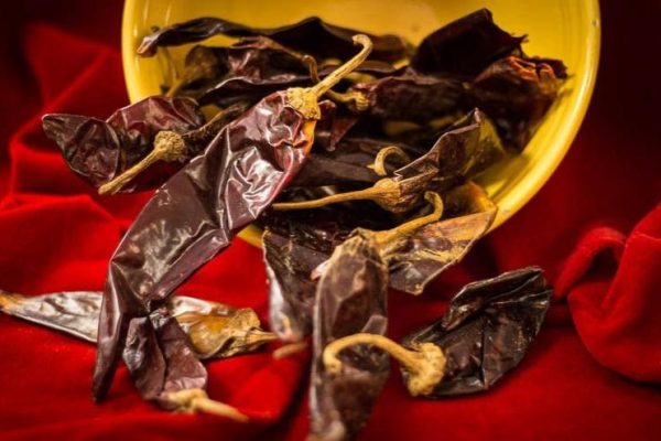 Dried Chile: Guajillo Fashion