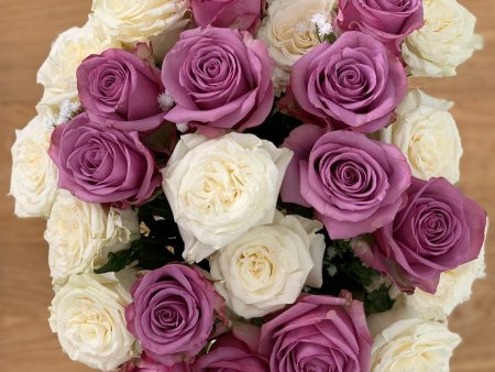 24 Cream & Lavender Long Stem Roses Sale