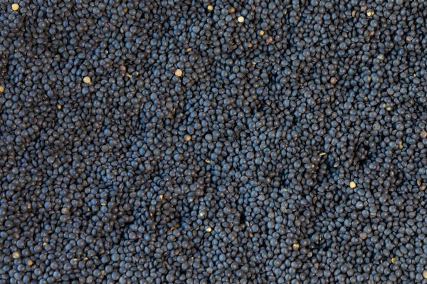 Black Caviar Lentil on Sale