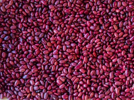 Mayan Red Bean For Sale