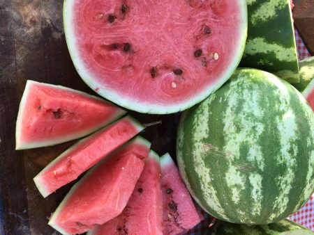 Crimson Sweet Watermelon For Sale