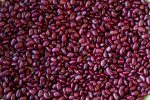 Hidatsa Red Bean For Sale