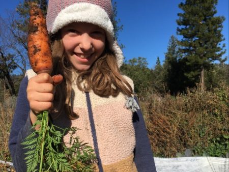 Danver s Carrot Fashion