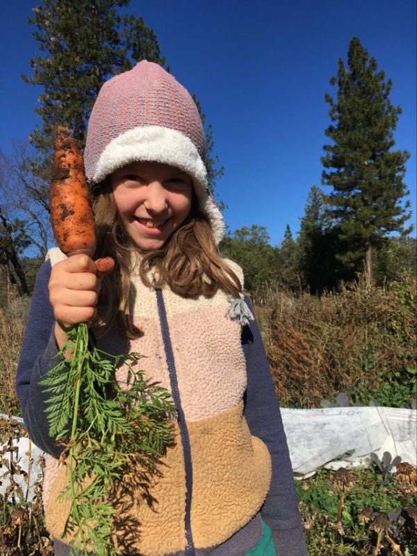 Danver s Carrot Fashion