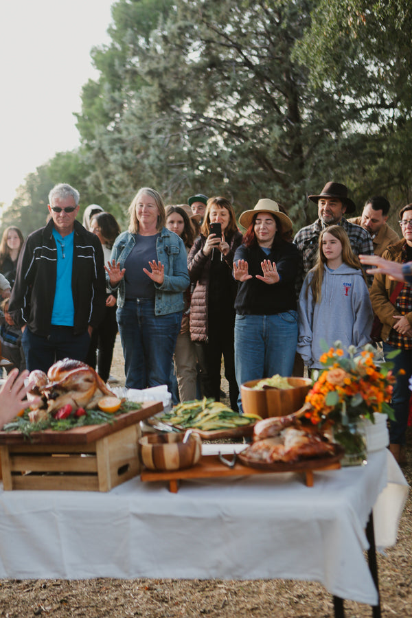 Pasture-Raised Whole Turkey Sale