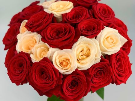 24 Red & Cream Luxury Long Stem Roses For Sale