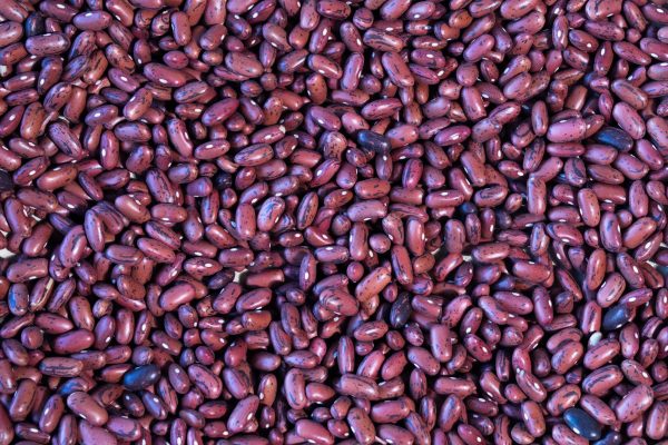 Tuscan Red Bean Online Hot Sale