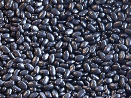 Chiapas Black Bean (Frijol Negro de Vara) Online Hot Sale