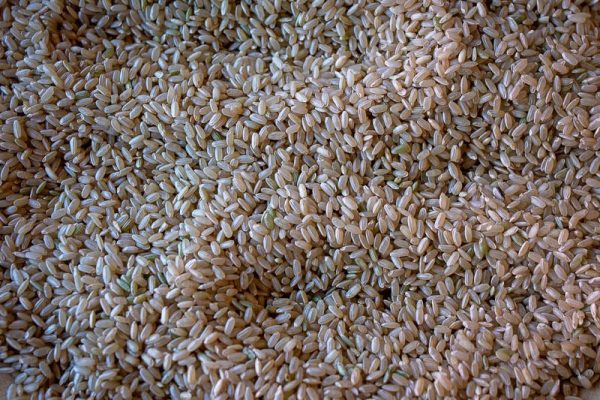 California Brown Rice Supply