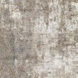 Pearidge 5 3  x 7  Rug For Discount