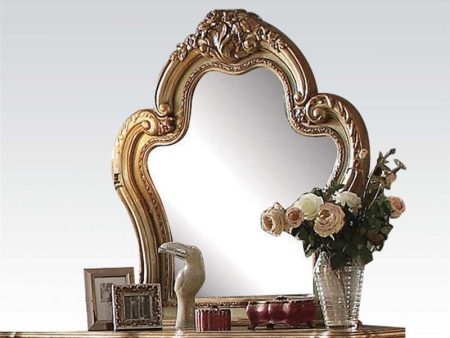 Acme Dresden Mirror 23164 For Cheap