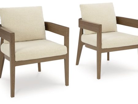 Serene Bay Outdoor Dining Arm Chair with Cushion (Set of 2) Sale