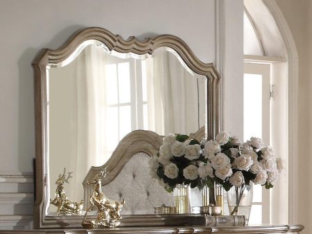 Acme Chelmsford Landscape Mirror in Antique Taupe 26054 Online Hot Sale