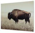 Brutus Wall Art Online Hot Sale