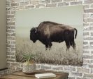 Brutus Wall Art Online Hot Sale