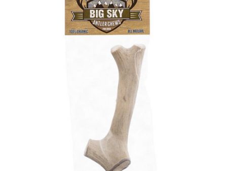 Big Sky Antler Chew for Dogs Large - 1 Antler - Dogs Over 110 lbs - (7 -8  Chew) by Scott Pet Online Sale