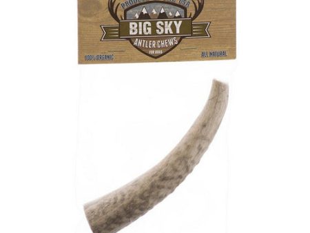 Big Sky Antler Chew for Dogs Medium - 1 Antler - Dogs Over 40 lbs - (6 -7  Chew) by Scott Pet Cheap